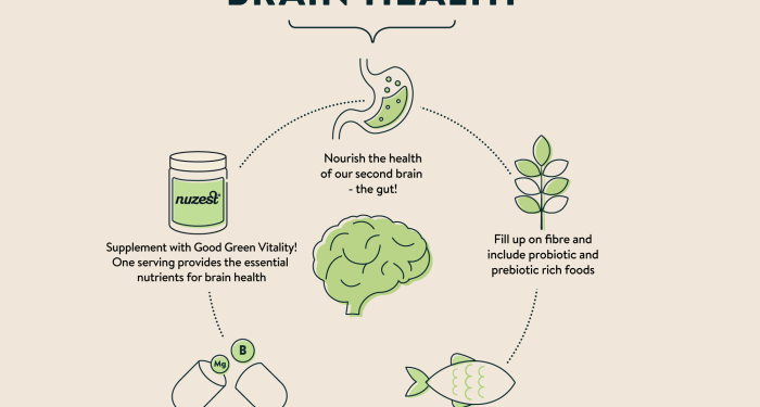 How To Optimise Brain Function And Health – Nuzest SG