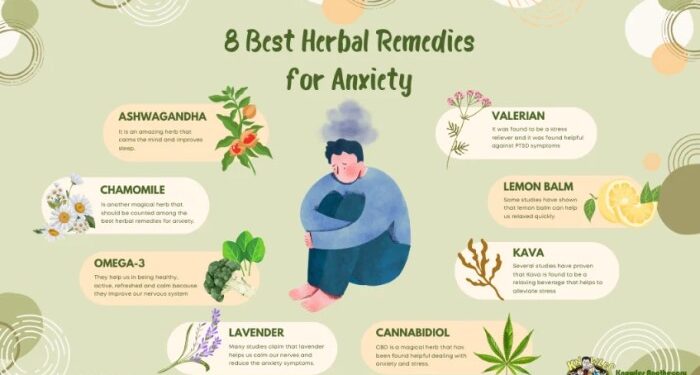 8 Best Herbal Remedies for Anxiety and Depression | KnowlesWellness