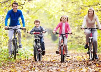 (PDF) Family aspects, physical fitness, and physical activity ...