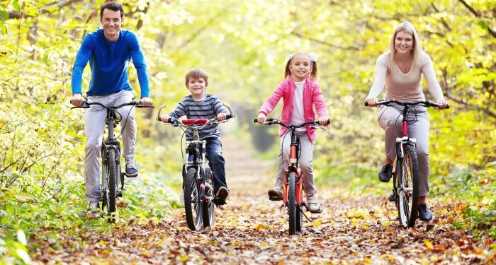 (PDF) Family aspects, physical fitness, and physical activity ...