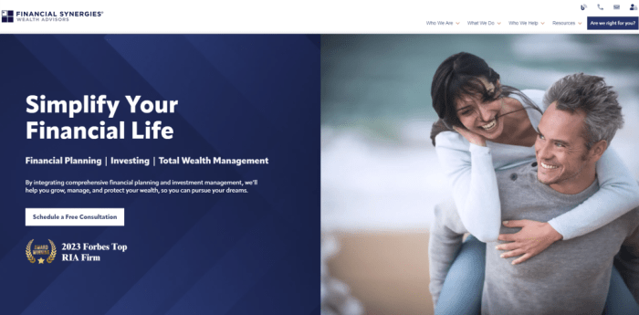 Top 10 Financial Advisor Websites | CodeDesign